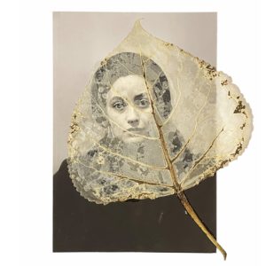 Dorothy Normand