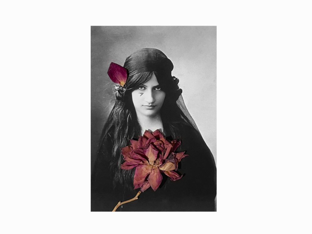 Anne