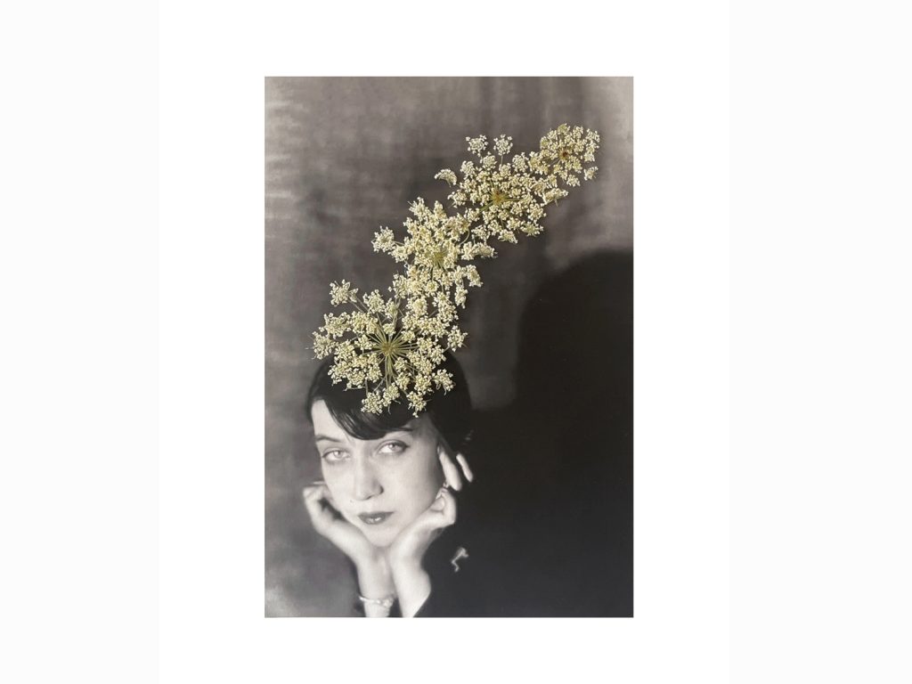 Berenice web