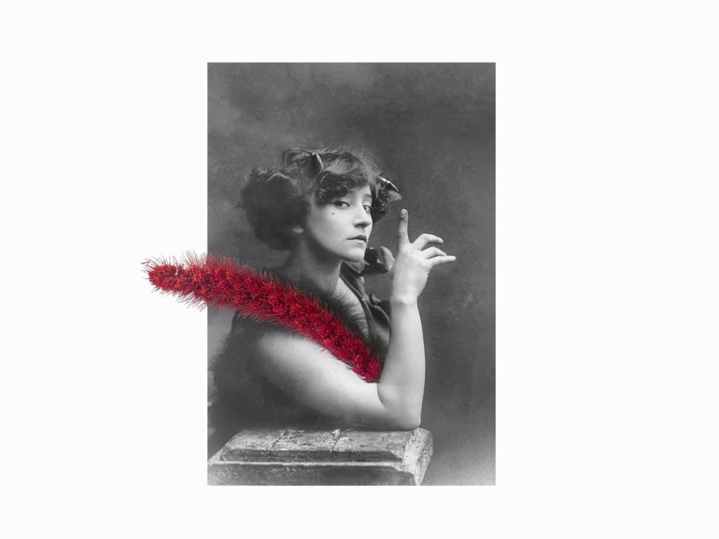 Colette web