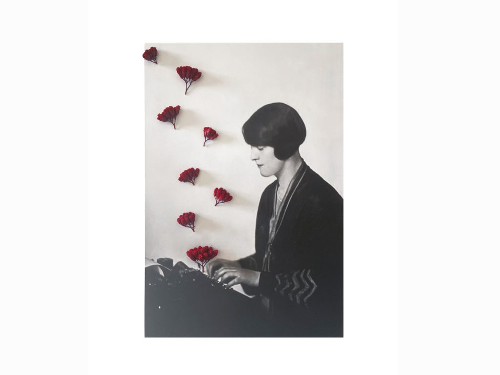 Dorothu T web