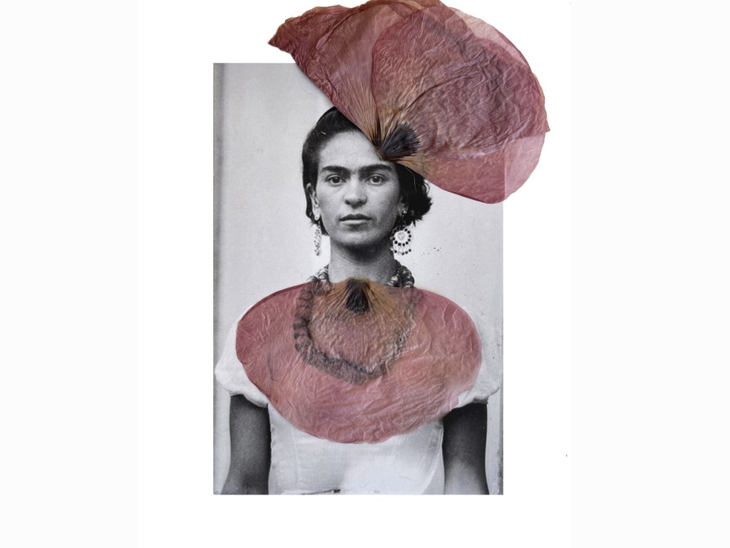 Frida web