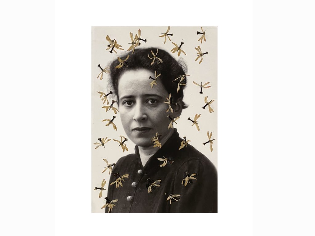 Hanna web