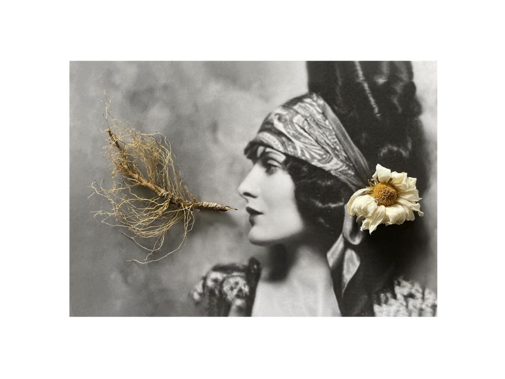 Ida